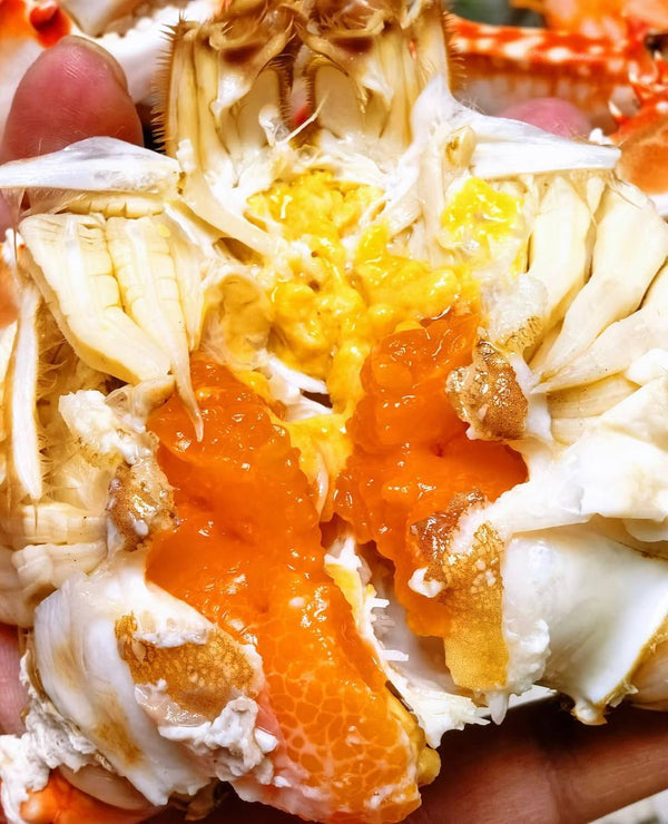 Plump Swimming Crab Loaded With Buttery Roe